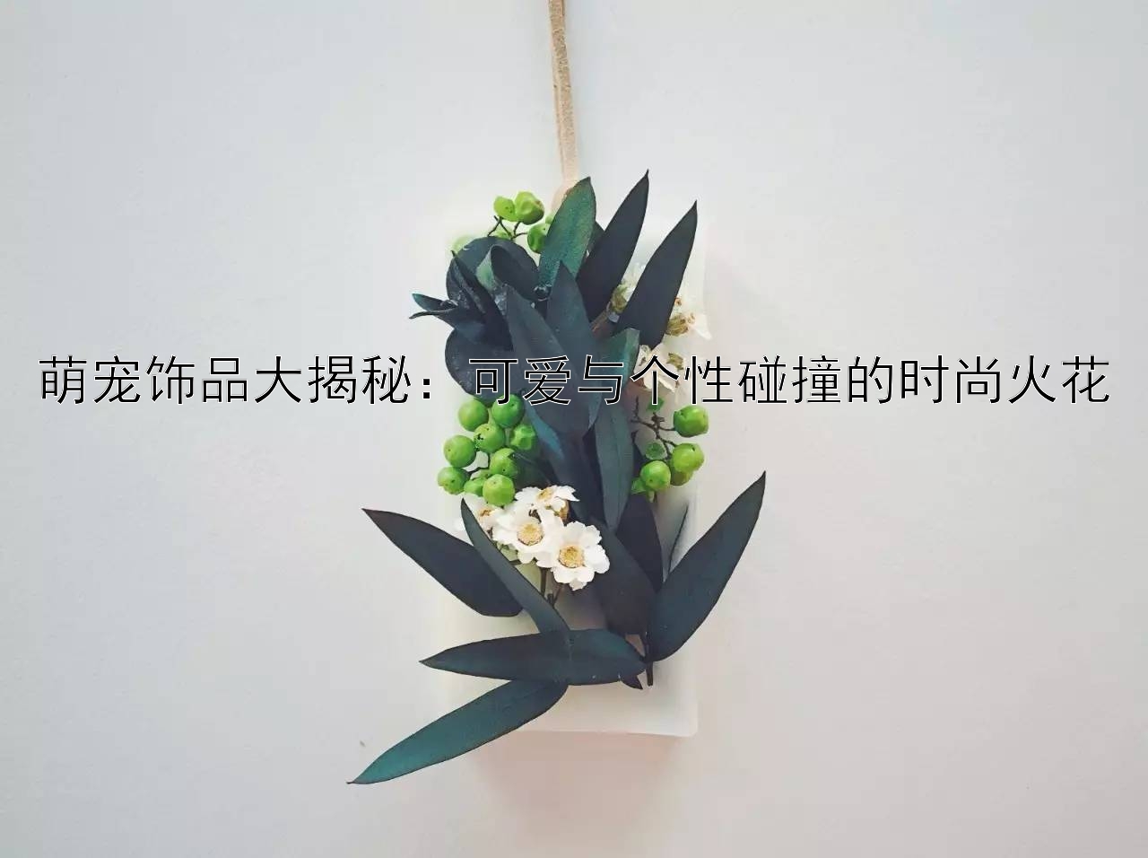 萌宠饰品大揭秘：可爱与个性碰撞的时尚火花